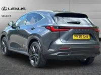 Used Lexus NX450h+ 292 HP (214 kW) 2026 Grey SUV