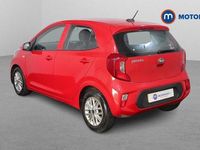 Used Kia Picanto 67 HP (49 kW) 2024 Hatchback