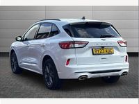 Used Ford Kuga ST-Line 225 HP (165 kW) 2023 White SUV