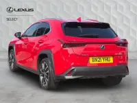 Used Lexus UX 250h 2021 Red SUV