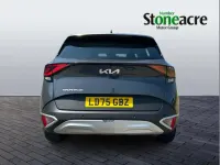 Used Kia Sportage 157 HP (115 kW) 2025 Grey SUV