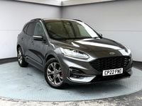 Used Ford Kuga ST-Line 150 HP (110 kW) 2022 Grey SUV