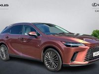 Used Lexus RX350h 250 HP (183 kW) 2025 Estate