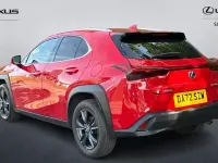 Used Lexus UX 250h 184 HP (135 kW) 2024 SUV