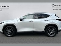 Used Lexus NX350h 239 HP (175 kW) 2023 White SUV