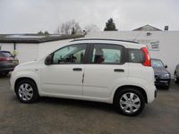 Used Fiat Panda Easy 85 HP (62 kW) 2012 White Hatchback