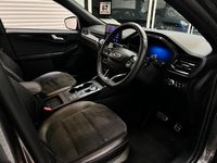 Used Ford Kuga ST-Line X 2023 Grey SUV