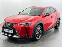 Used Lexus UX 184 HP (135 kW) 2022 Red SUV