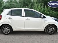 Used Kia Picanto 67 HP (49 kW) 2023 Clear white Hatchback