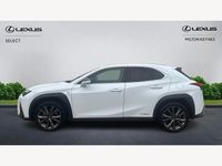 Used Lexus UX Sport Line 2020 White SUV