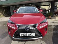 Used Lexus NX300h 2019 Red SUV