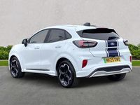 Used Ford Puma Premium 167 HP (122 kW) 2025 White SUV