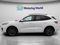 Used Ford Kuga ST-Line 225 HP (165 kW) 2023 White SUV
