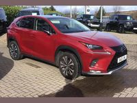 Used Lexus NX300h 194 HP (142 kW) 2021 Red SUV
