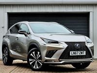 Used Lexus NX300h Sport Line 197 HP (144 kW) 2017 Silver SUV