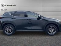 Used Lexus NX350h 243 HP (178 kW) 2025 Black SUV