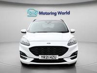 Used Ford Kuga ST-Line X 120 HP (88 kW) 2021 White SUV