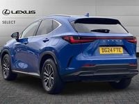 Used Lexus NX450h+ 306 HP (225 kW) 2024 Blue SUV