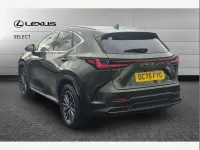 Used Lexus NX350h 197 HP (144 kW) 2025 Green SUV