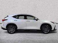 Used Lexus NX350h 2023 White Estate