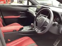 Used Lexus UX Sport Line 184 HP (135 kW) 2022 Grey SUV