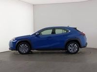 Used Lexus UX 150 kW (204 HP) 2024 Blue SUV