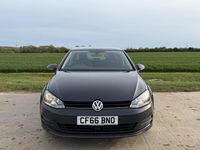 Used VW Golf VII Edition 110 HP (80 kW) 2017 Grey Hatchback