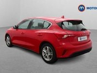 Used Ford Focus Zetec 125 HP (91 kW) 2019 Red Hatchback