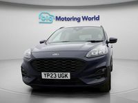 Used Ford Kuga ST-Line 224 HP (164 kW) 2023 SUV