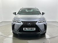 Used Lexus UX 250h Sport Line 2020 Grey SUV