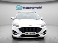Used Ford Kuga ST-Line X 120 HP (88 kW) 2021 White SUV
