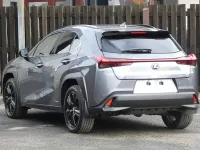 Used Lexus UX 250h 2021 Grey SUV