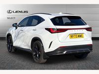 Used Lexus NX350h Sport Line 245 HP (180 kW) 2023 White SUV
