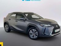Used Lexus UX 150 kW (204 HP) 2022 SUV
