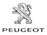 Second-hand Peugeot Partner 100 CP (73 kW) 2018 Gri Monovolum