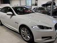 Used Jaguar XF 200 HP (147 kW) 2013 White Sedan