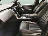 Used Land Rover Discovery Sport SE Dynamic 309 HP (227 kW) 2022 Black SUV