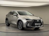 Used Lexus NX450h+ 2023 Silver SUV