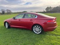 Used Jaguar XF Portfolio 200 HP (147 kW) 2015 Red Sedan