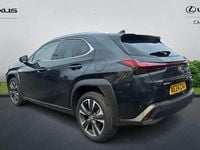 Used Lexus UX 250h 184 HP (135 kW) 2024 SUV
