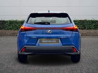 Used Lexus UX 300h 199 HP (146 kW) 2026 Blue SUV