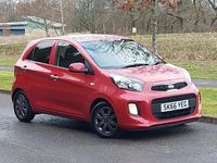 Used Kia Picanto 2016 Red Hatchback
