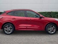 Used Ford Kuga ST-Line 150 HP (110 kW) 2023 Red SUV