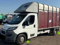 Used Peugeot Boxer 130 HP (95 kW) 2014 White Van
