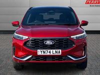 Used Ford Kuga ST-Line X 242 HP (177 kW) 2025 SUV
