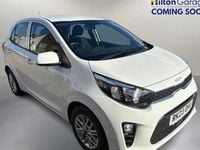 Used Kia Picanto 67 HP (49 kW) 2023 White Hatchback