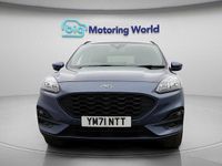 Used Ford Kuga ST-Line X 225 HP (165 kW) 2022 Blue SUV