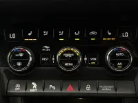 Used Skoda Kodiaq SE L Executive 150 HP (110 kW) 2023 Blue SUV