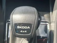 Used Skoda Karoq SportLine 190 HP (139 kW) 2023 Grey SUV
