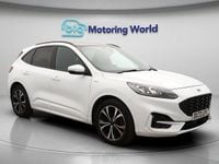 Used Ford Kuga ST-Line X 150 HP (110 kW) 2022 White SUV